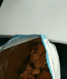 坐飞机回家时，后座突然探出一个狗头！-13.gif