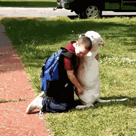 出门前要不要和狗狗说再见？它真的能听懂吗？-1.gif