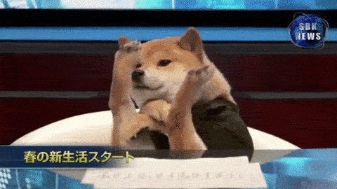 最古老的14个犬种，中国占了6个！-6.gif