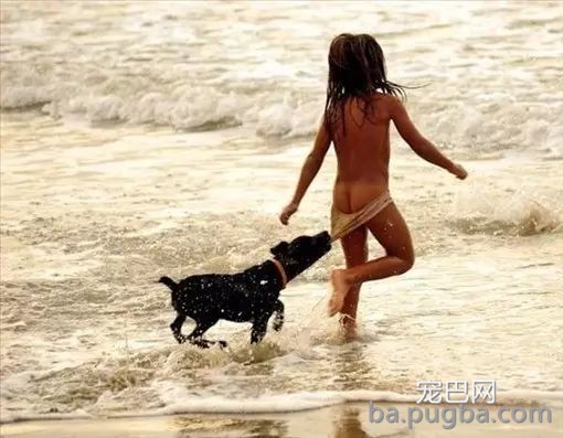 我不吃狗肉，我怕吃到给人家守了大半辈子门的狗……-2.jpeg