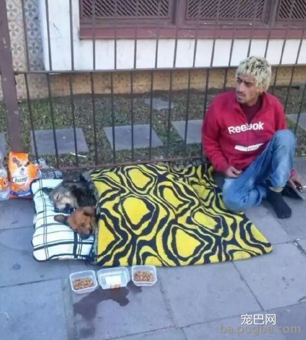 我不吃狗肉，我怕吃到给人家守了大半辈子门的狗……-3.jpeg