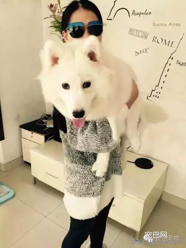 狗狗生病需要2W治病，你救还是不救？-14.jpeg