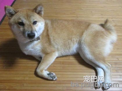 救救孩子！快拿走沙雕主人的黑暗料理！-1.jpeg