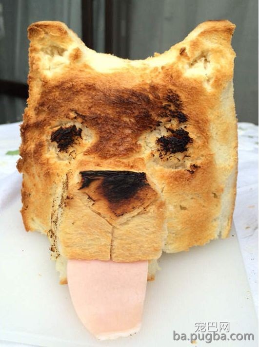 救救孩子！快拿走沙雕主人的黑暗料理！-2.jpeg