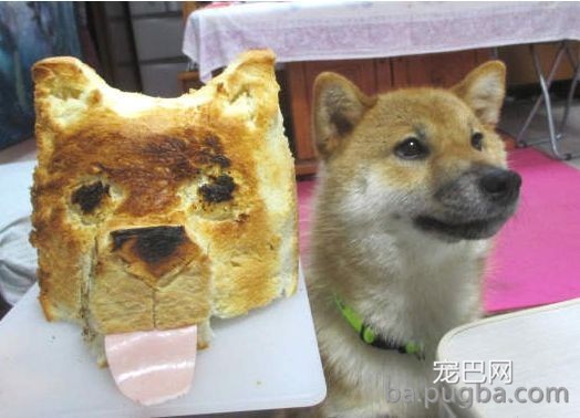 救救孩子！快拿走沙雕主人的黑暗料理！-3.jpeg