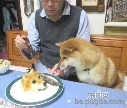 救救孩子！快拿走沙雕主人的黑暗料理！-21.jpeg