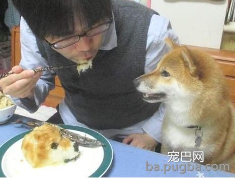 救救孩子！快拿走沙雕主人的黑暗料理！-22.jpeg