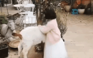 小主人有了新宠物，家里的狗狗吃醋了，于是……-4.gif