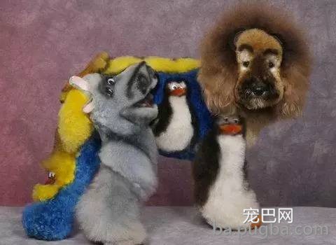艳丽多彩诚漂亮 狗狗染毛需谨慎-1.jpeg