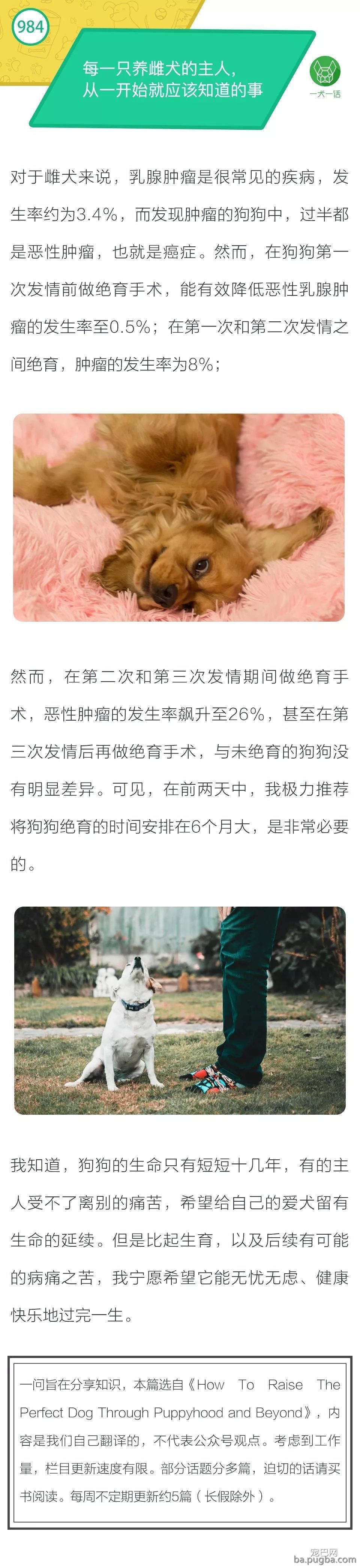 每一只养雌犬的主人，从一开始就应该知道的事-1.jpeg