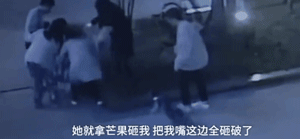 两只狗打起架来，狗主人不但不劝阻还加入混战？！-2.gif