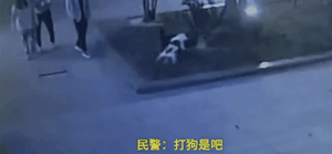 两只狗打起架来，狗主人不但不劝阻还加入混战？！-1.gif
