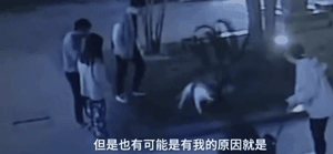 两只狗打起架来，狗主人不但不劝阻还加入混战？！-4.gif