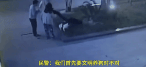 两只狗打起架来，狗主人不但不劝阻还加入混战？！-6.gif