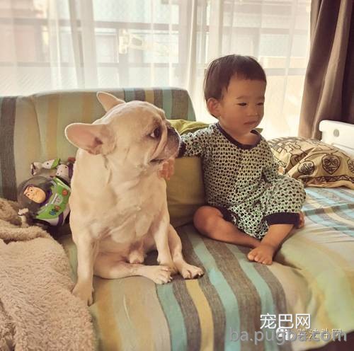 狗狗经常会发出“咔咔、咔咔”的声音，有点像干呕或干咳？-1.jpeg