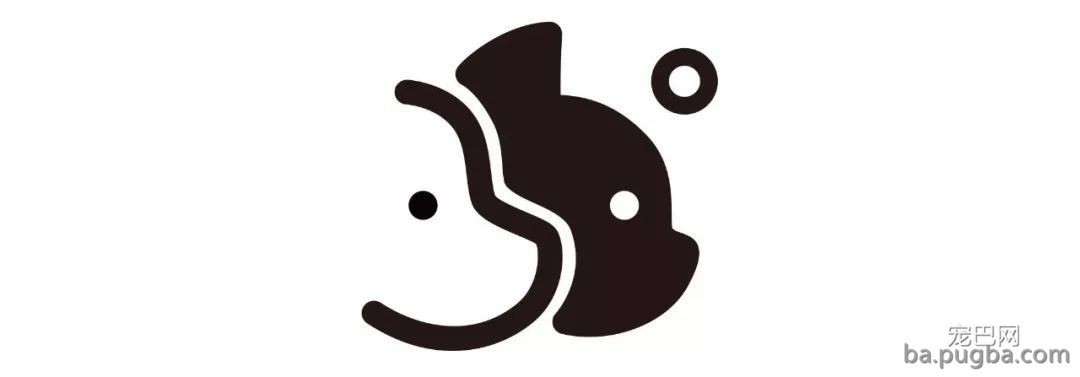 踏青无处去？这个春天带狗狗去月湖彩跑赏樱季！-8.jpeg