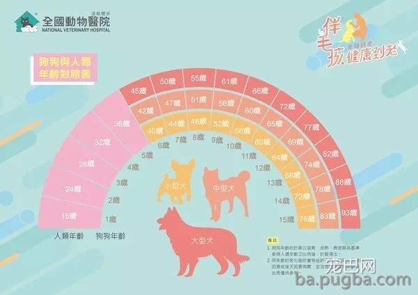 狗狗1岁等于人类7岁？你很可能一直都算错了...-5.jpeg