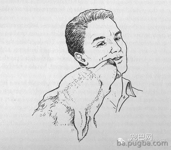 养狗窍门 | 掌握狗的语言交流(养狗必看）-3.jpeg