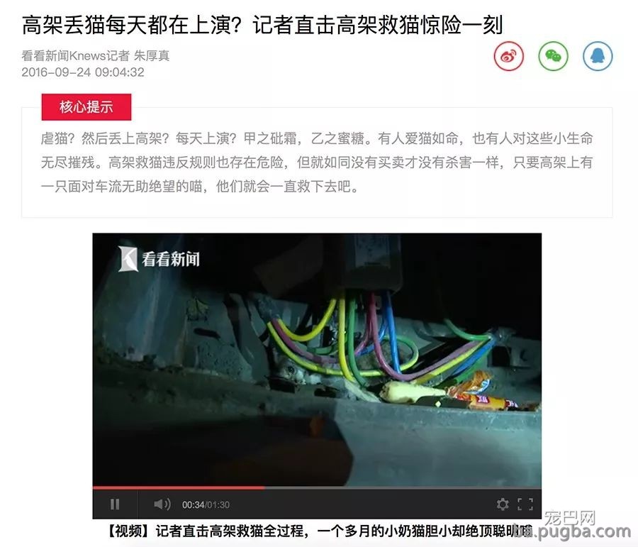 我们愿意为宠物发声，你呢？-7.jpeg