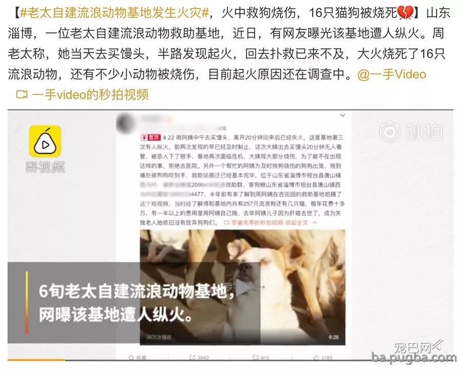 我们愿意为宠物发声，你呢？-5.jpeg