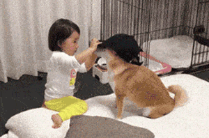 不是我骗你，科学研究表明：养狗真的对孩子身体好！-2.gif