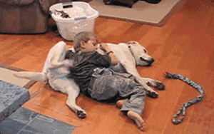 不是我骗你，科学研究表明：养狗真的对孩子身体好！-8.gif