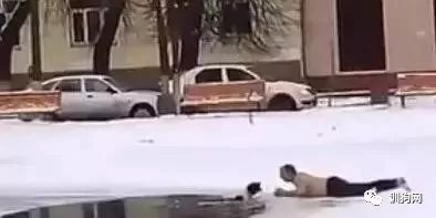 战斗民族告诉你，爱狗，真的不是说说而已！-4.jpeg
