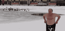 战斗民族告诉你，爱狗，真的不是说说而已！-7.gif