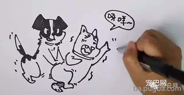 为什么公狗看见公狗还要xxoo-2.jpeg