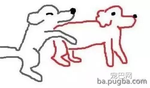 为什么公狗看见公狗还要xxoo-6.jpeg