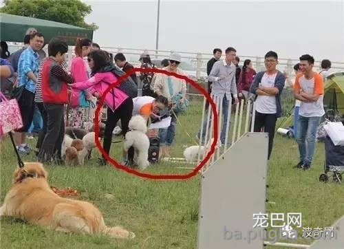 为什么公狗看见公狗还要xxoo-3.jpeg