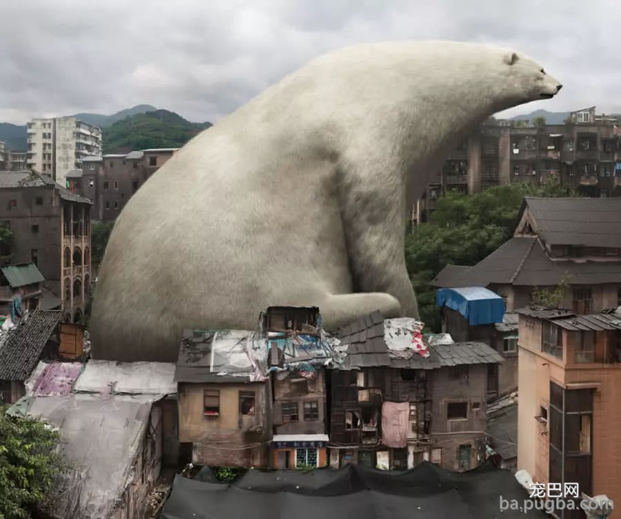 地球上的一些动物，在某种条件下会无限生长，为什么我们看不到-4.jpg