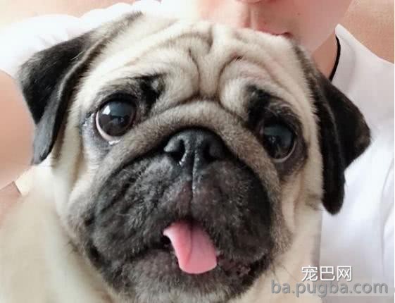 微信图片编辑_20190521011333.jpg