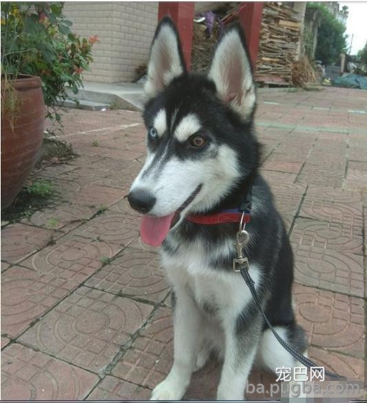 微信图片编辑_20190521011350.jpg