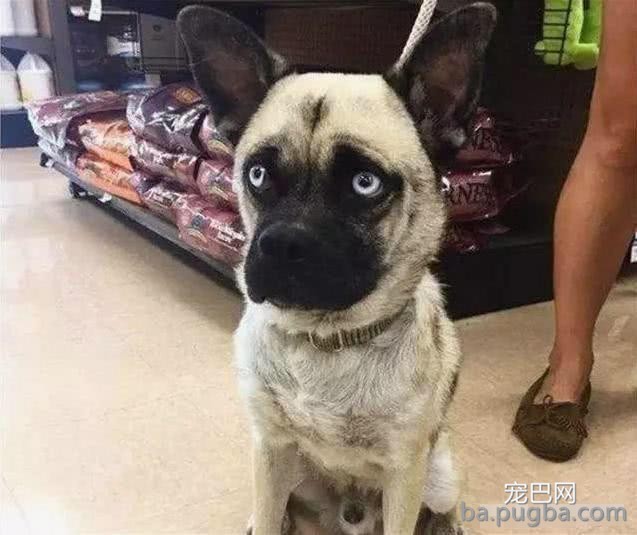 微信图片编辑_20190521011408.jpg