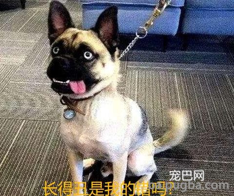 微信图片编辑_20190521011628.jpg