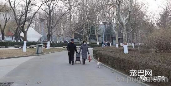 退休老夫妻坚持喂养流浪猫十八年：我还要在喂十八年……-2.jpeg