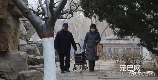 退休老夫妻坚持喂养流浪猫十八年：我还要在喂十八年……-8.jpeg