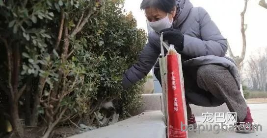 退休老夫妻坚持喂养流浪猫十八年：我还要在喂十八年……-9.jpeg