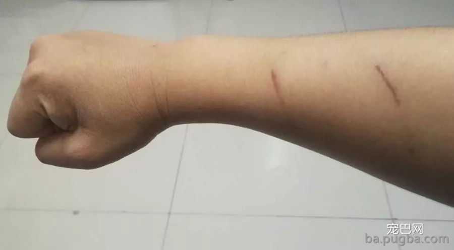 一话 | 警犬训导员老胡的故事-9.jpeg