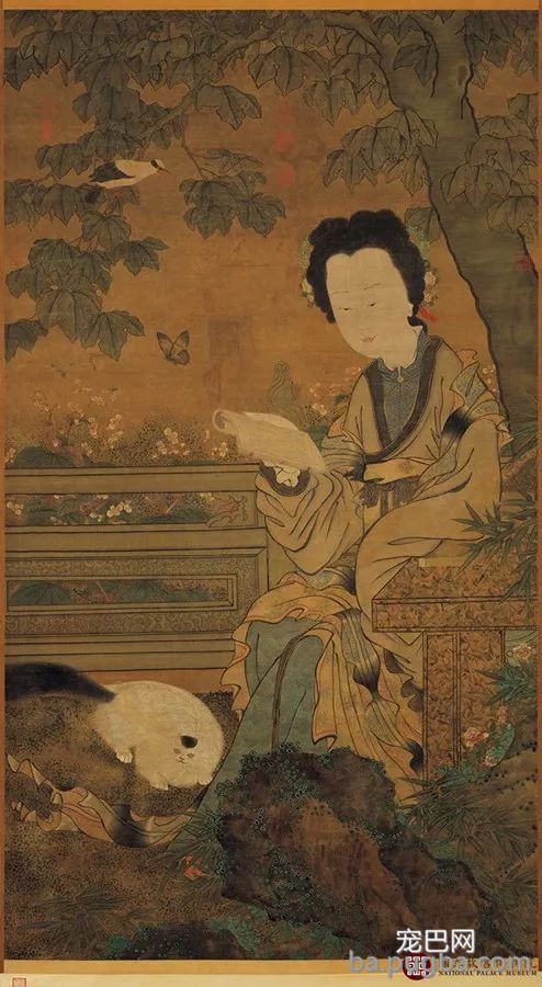 一心 | 为什么人人都爱"云吸猫"?-4.jpeg