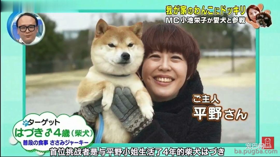 残忍测试丨高级牛肉诱惑！主人不在场狗狗能忍住吗？-2.jpeg