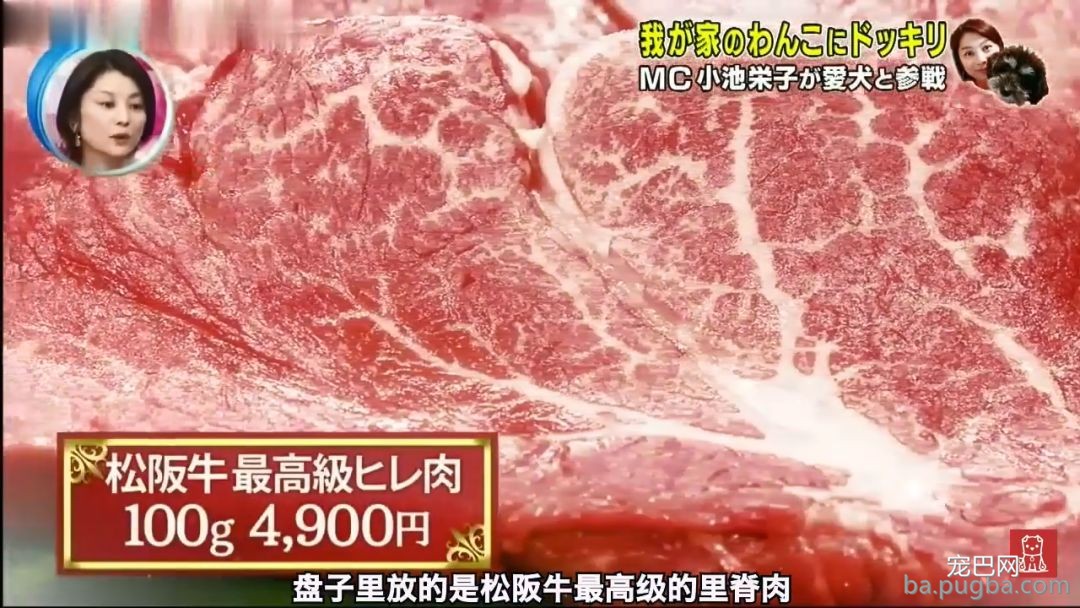 残忍测试丨高级牛肉诱惑！主人不在场狗狗能忍住吗？-4.jpeg