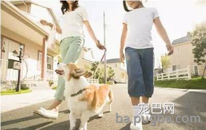 狗狗给人类带来的10大好处，你都知道吗？-1.jpeg