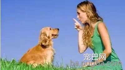 狗狗给人类带来的10大好处，你都知道吗？-11.jpeg