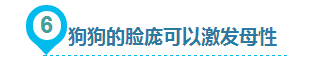 狗狗给人类带来的10大好处，你都知道吗？-10.png