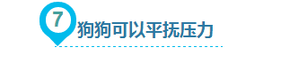 狗狗给人类带来的10大好处，你都知道吗？-12.png