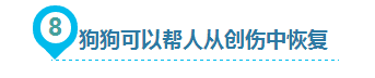 狗狗给人类带来的10大好处，你都知道吗？-14.png