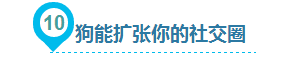 狗狗给人类带来的10大好处，你都知道吗？-18.png