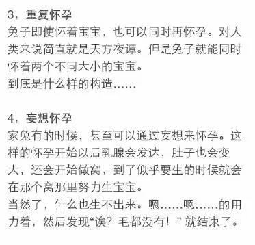 万万没想到，这5种呆萌可爱的动物竟然都是色魔！-14.jpeg
